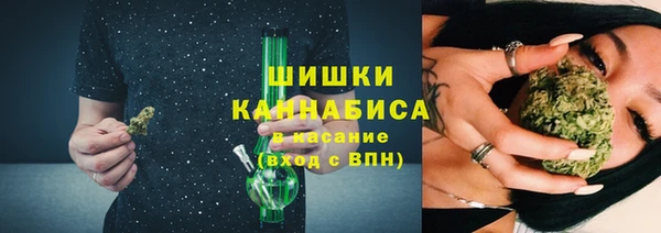 эйфоретик Арсеньев