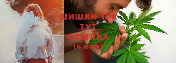 эйфоретик Арсеньев