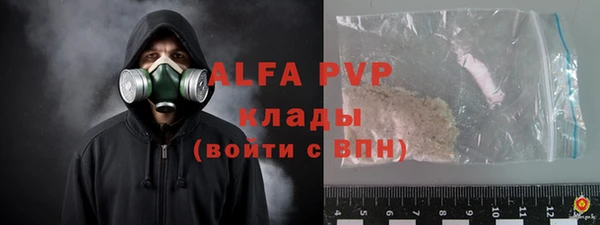эйфоретик Арсеньев