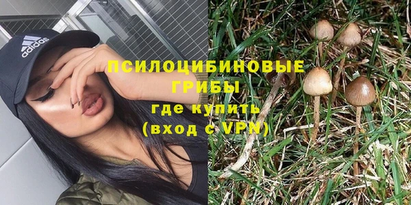 сатива Баксан