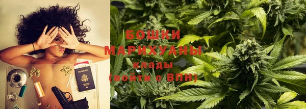 стаф Балахна