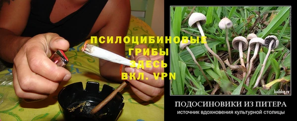 гидропоника Аркадак