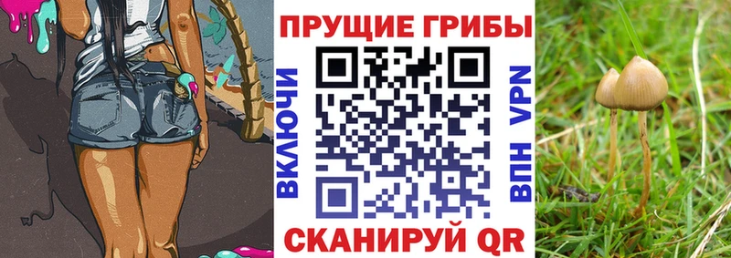 hydra ONION Радужный Галлюциногенные грибы прущие грибы